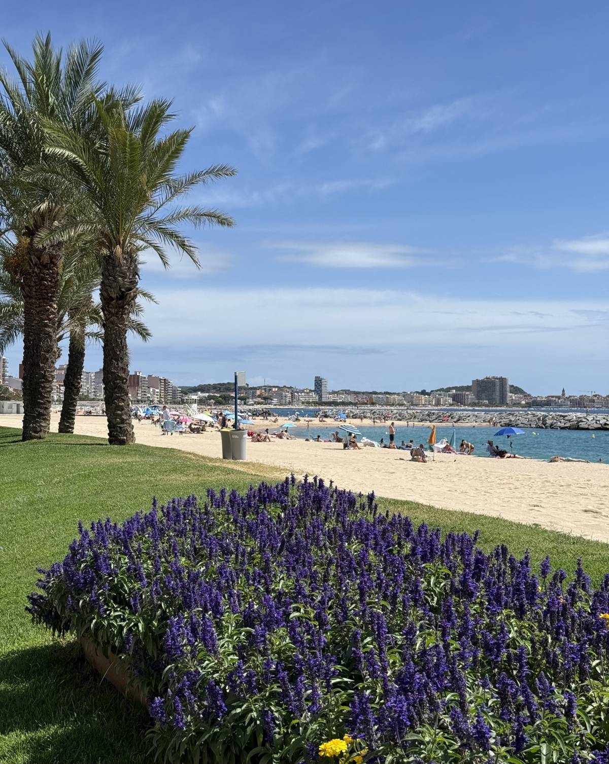 Gemma Solsona