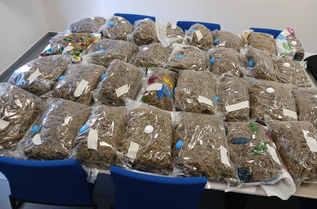 Ingressa a presó un home per portar 35 quilos de cabdells de marihuana al maleter a Berga