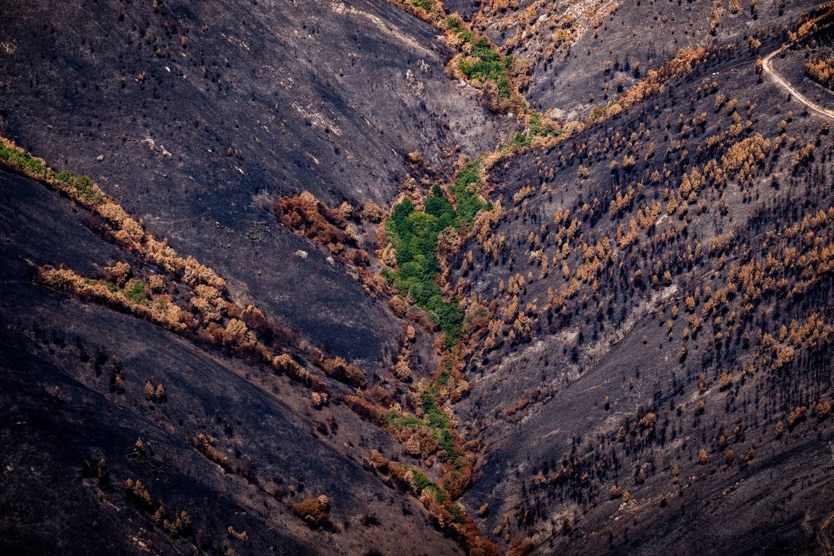 El canvi climàtic va multiplicar per 40 la tempesta perfecta dels incendis
