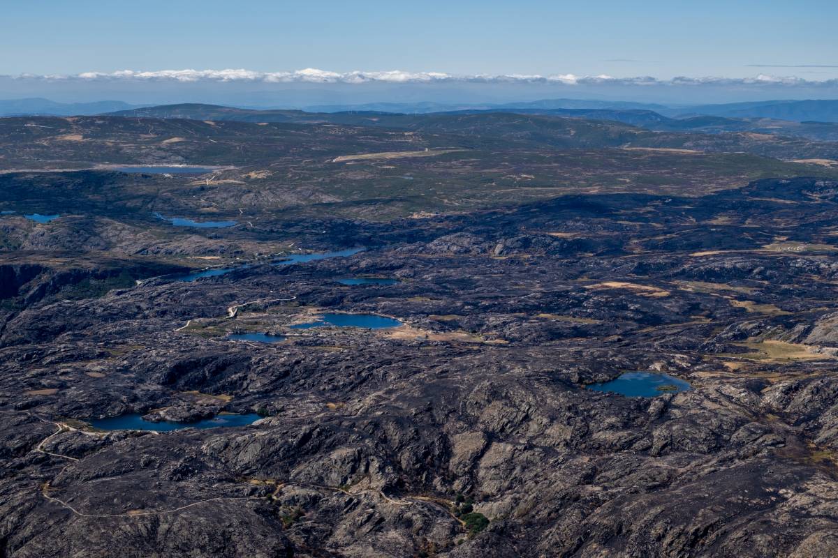 Els incendis van arrasar milers d'hectàrees a Zamora - Pedro Armestre / Greenpeace