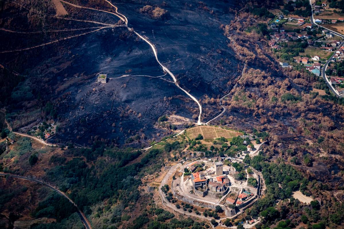 L'impacte dels incendis en un poble de Galícia - Pedro Armestre / Greenpeace