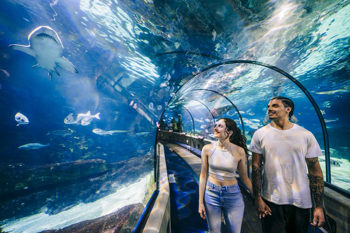 El túnel de L`Aquàrium de Barcelona és el més llarg d`Europa - Cedida El túnel de L`Aquàrium de Barcelona és el més llarg d`Europa