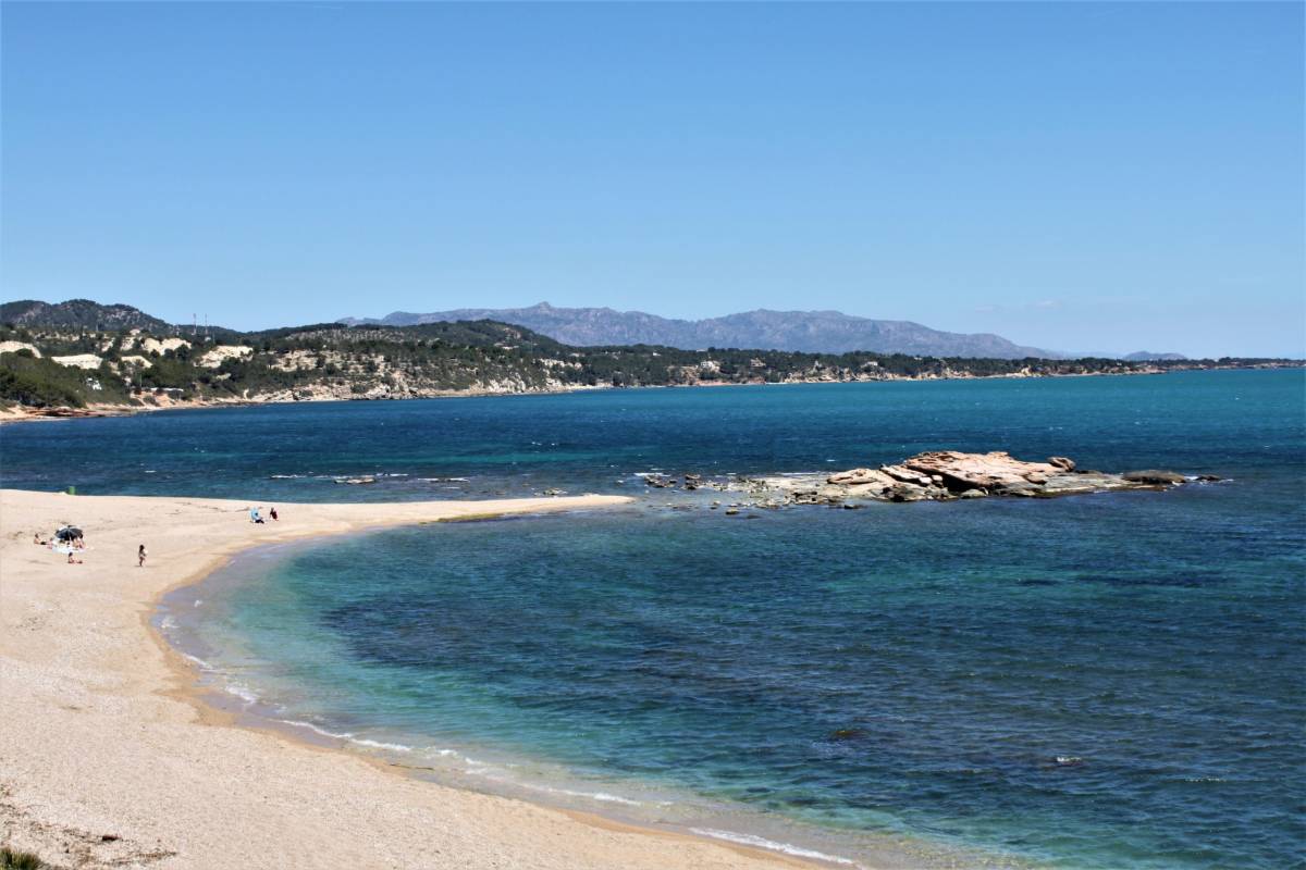 Retiren una xarxa fantasma d’un quilòmetre en una praderia de posidònia al Perelló