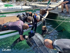 Rescaten una tortuga llaüt a la Costa Brava