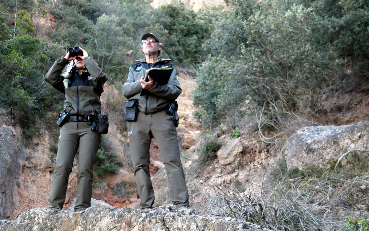 Els Agents Rurals de la Catalunya Central preveuen superar les 20.000 actuacions el 2025