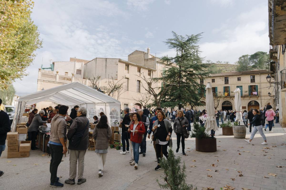 El Tasta Porrera 2025 convertirà el Priorat en punt de trobada de l'enoturisme aquesta tardor