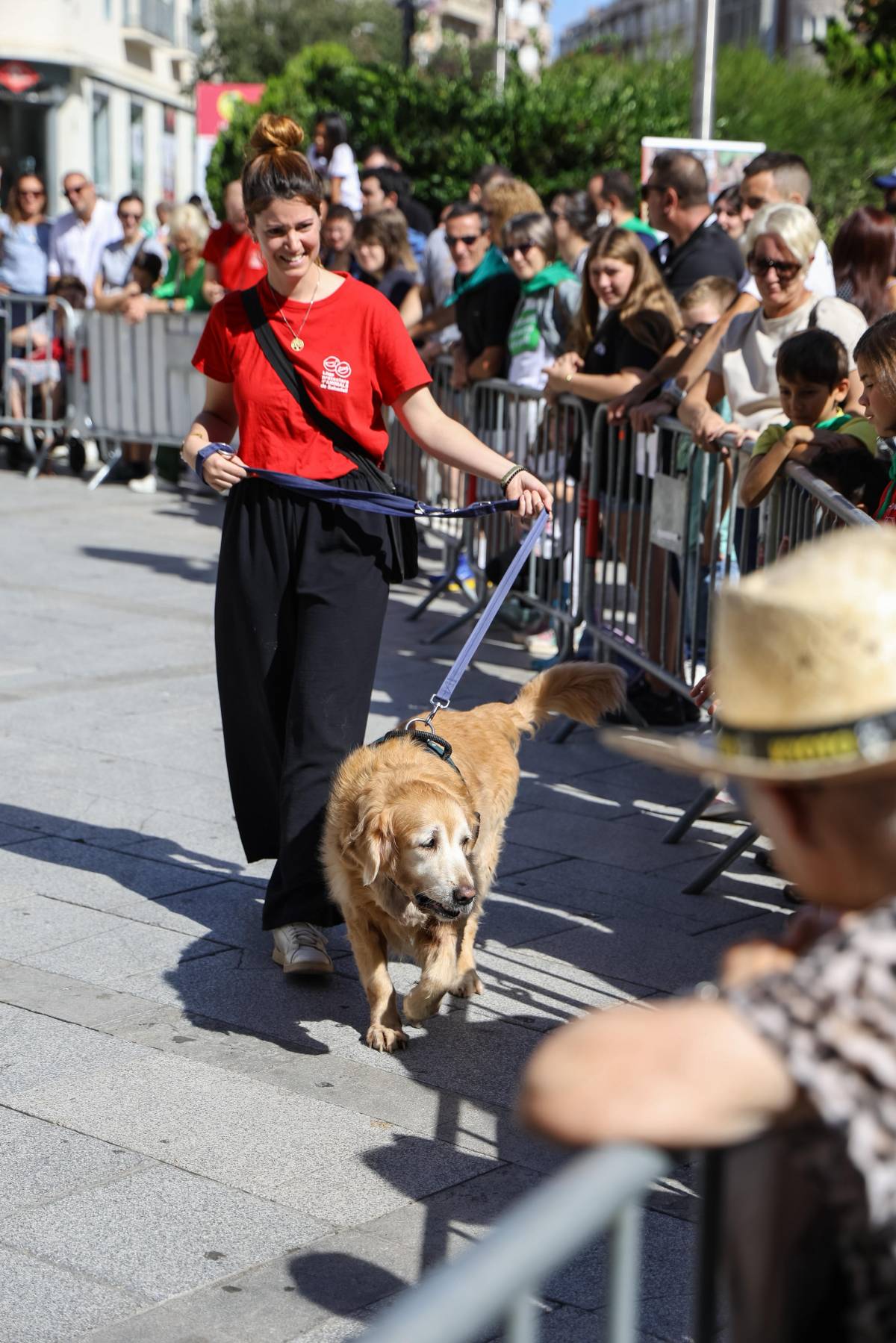 Gossos de la protectora d'animals a la Festa Major 2025 - VÍCTOR CASTILLO