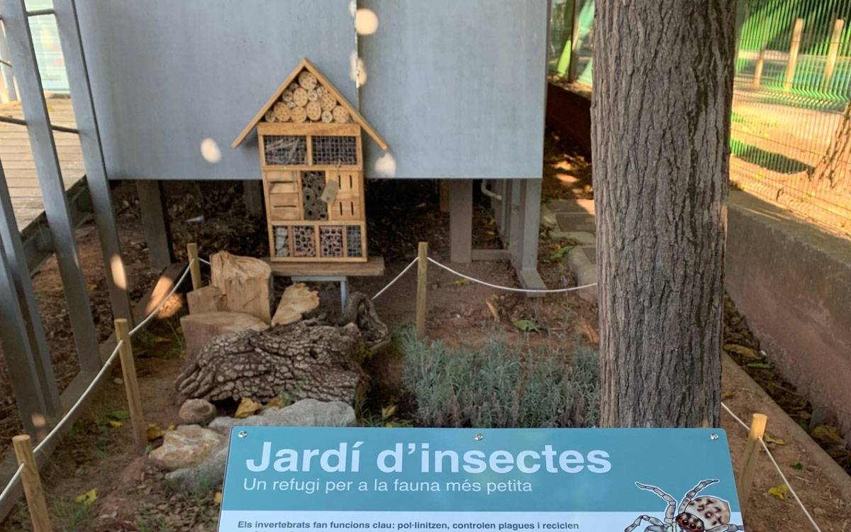 El Parc de la Séquia inaugura un jardí d'insectes al Parc de l'Agulla