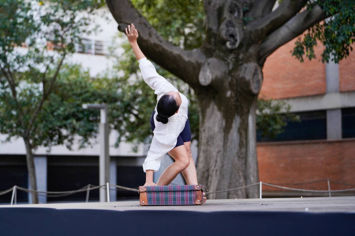 El festival Enlaire agafa força amb una vintena d’espectacles repartits per diversos espais - DAVID CHAO El festival Enlaire agafa força amb una vintena d’espectacles repartits per diversos espais