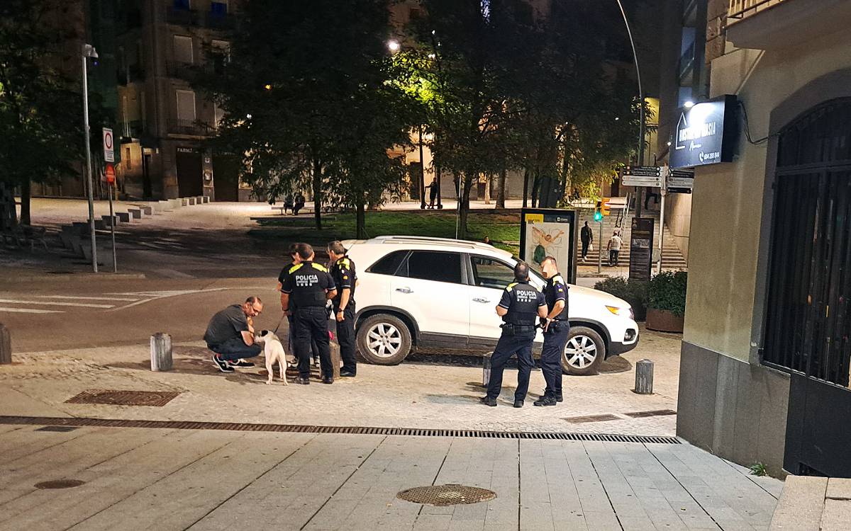 Rescat caní al centre de Manresa: un gos errant troba aixopluc