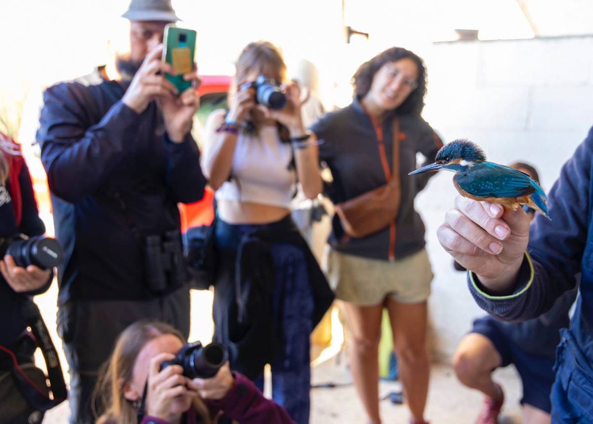 Delta Birding Festival