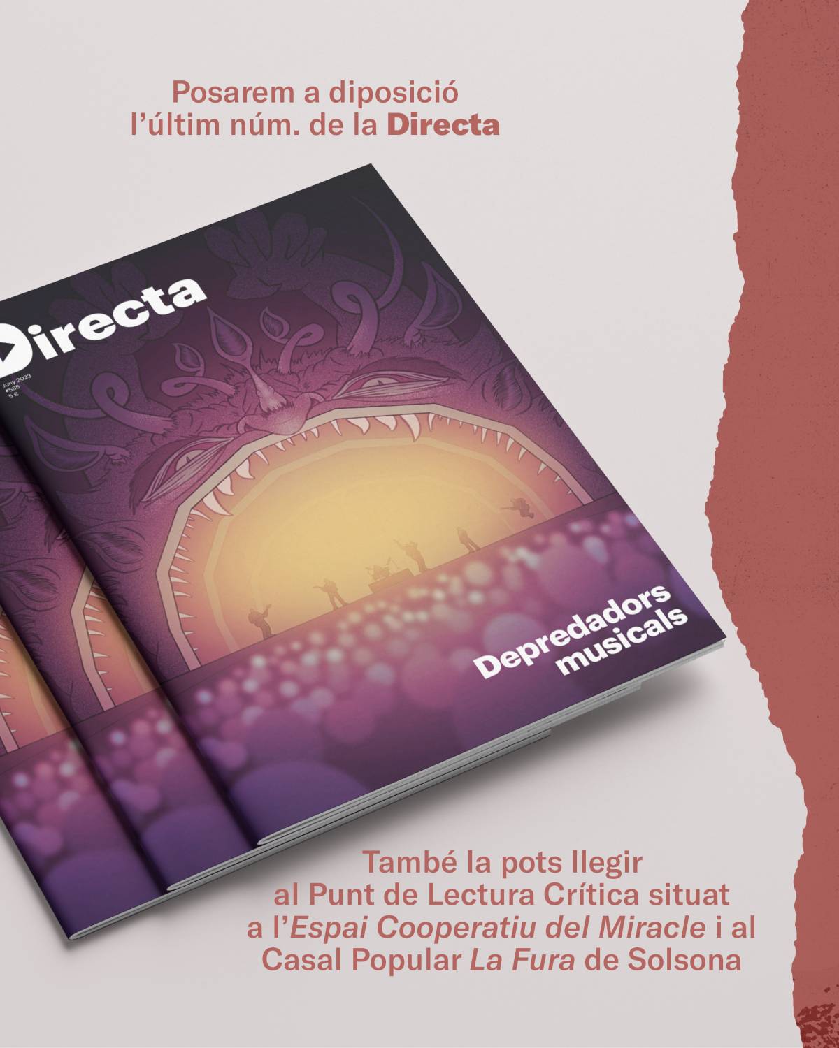 Setmanari La Directa  - 