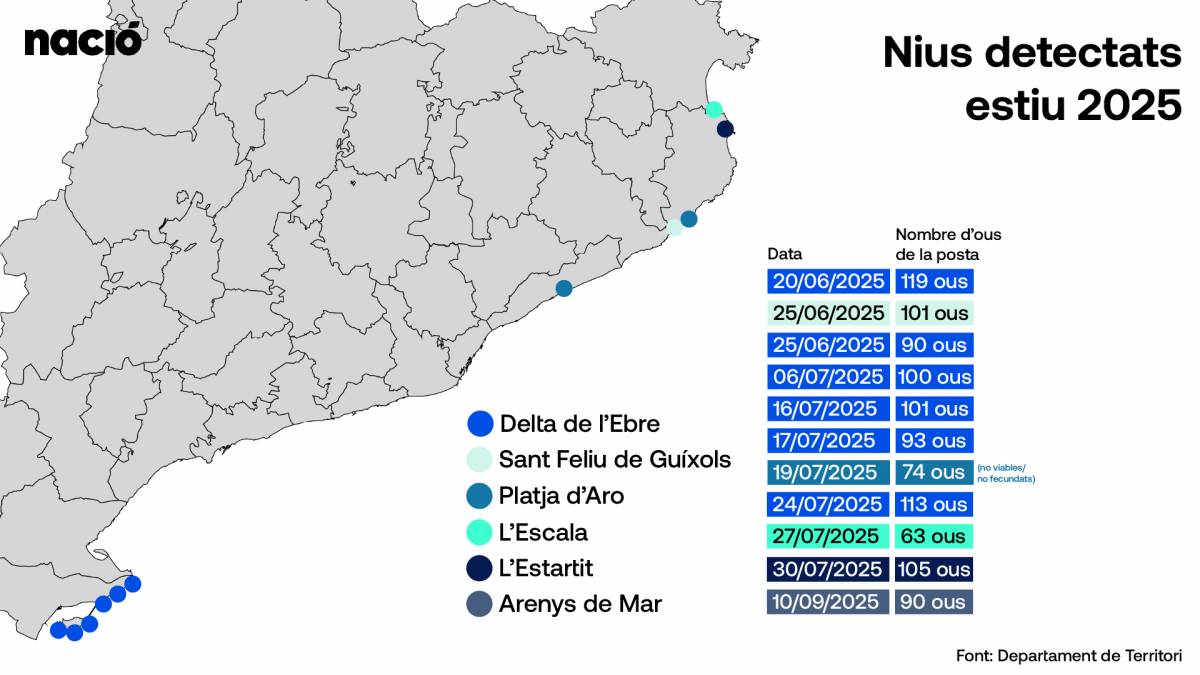 Mapa dels nius de tortuga careta d`aquest estiu 2025 a Catalunya - Disseny d`Aleix Pérez Mapa dels nius de tortuga careta d`aquest estiu 2025 a Catalunya