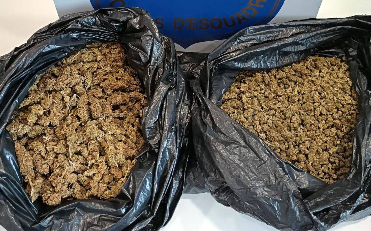 Fugen d'un control policial i els enxampen a Calafell amb dues bosses de marihuana al cotxe