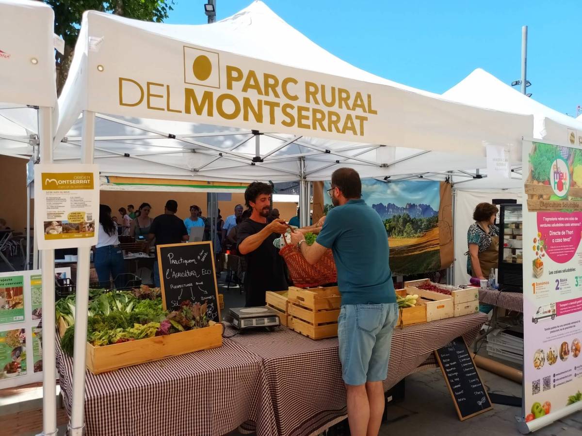 Segon Mercat Origen Montserrat a Ullastrell