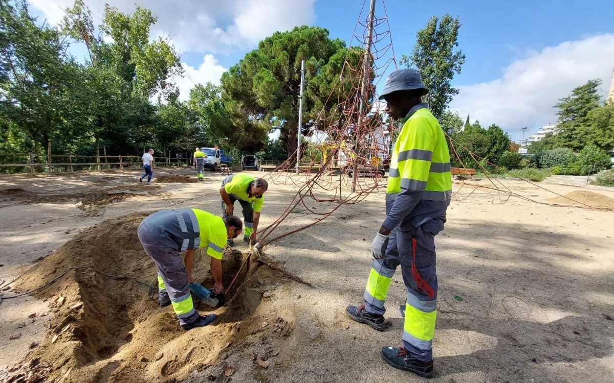 Valls diu adeu a un dels elements més emblemàtics d'un parc de la ciutat