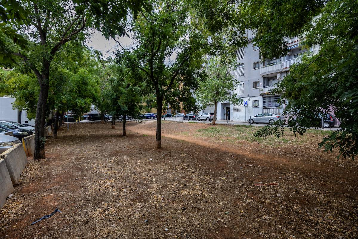 Els arbres es mantindran i se`n plantaran vuit més