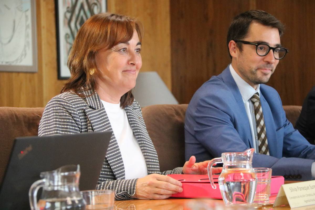 Paneque confia que Catalunya «es posarà al dia en renovables» amb la nova planificació elèctrica
