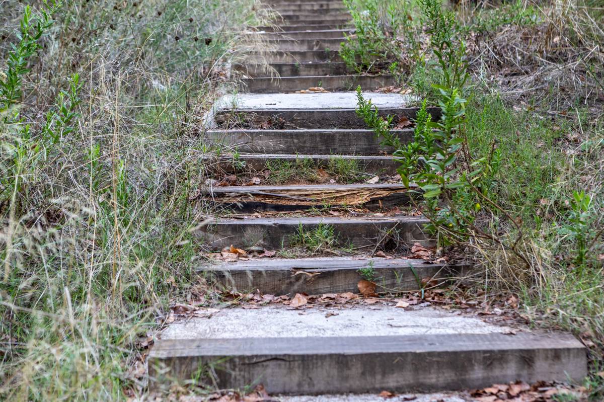 L`estat de part del barri de Sant Oleguer