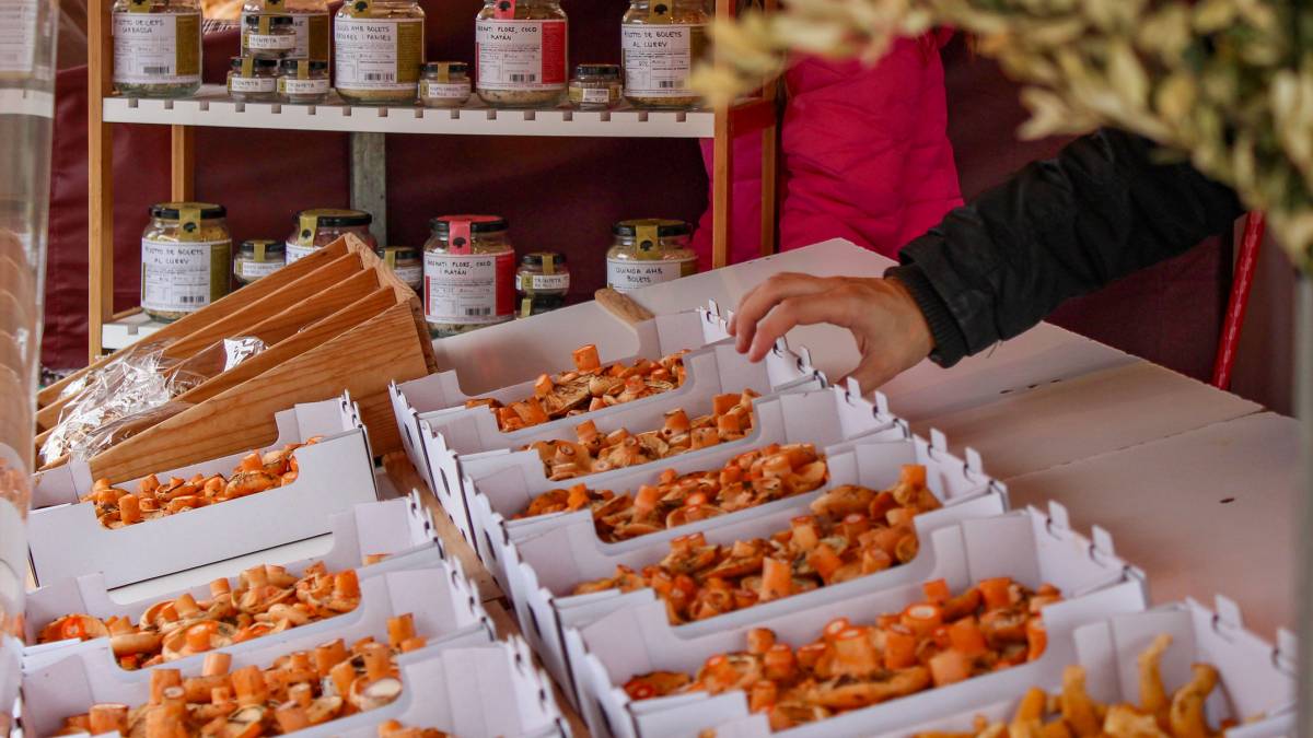 Els mercats, fires i festes boletaires del Berguedà que no et pots perdre