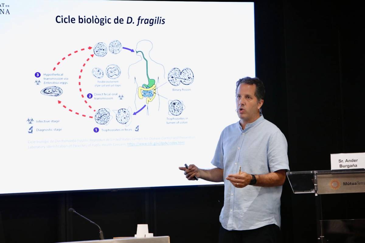 Una tesi presentada a MútuaTerrassa confirma l’eficàcia d’un nou antiparasitari