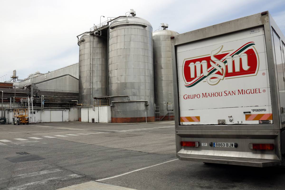 Mahou San Miguel va créixer un 11% el 2024 fins als 326 milions