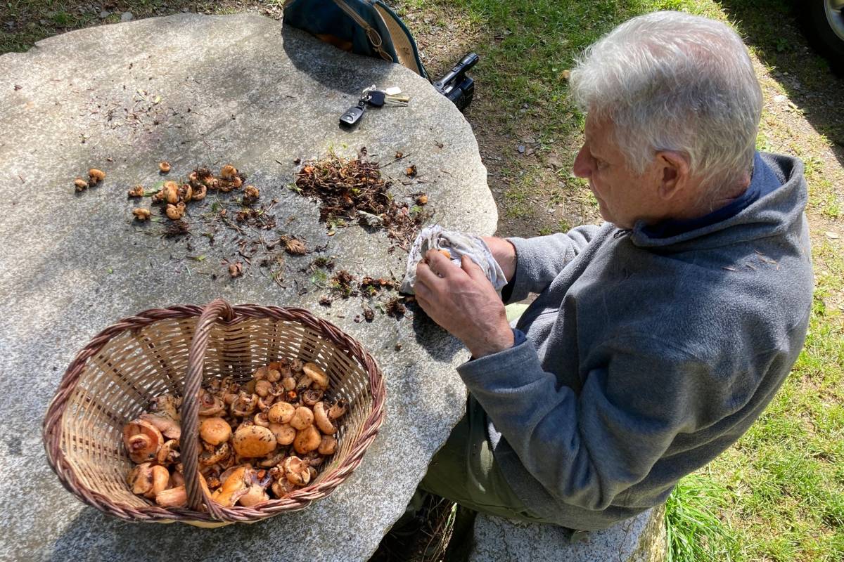 Consells per ser un bon boletaire