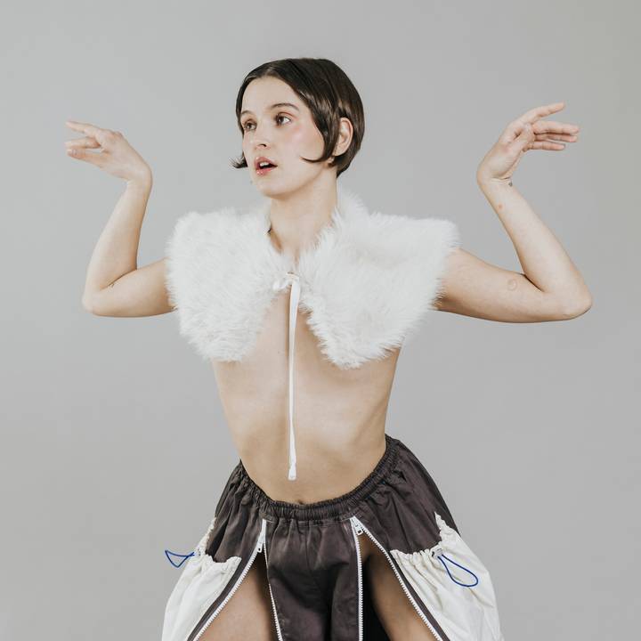 Carlota Flâneur - CEDIDA