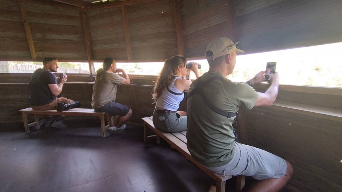 Influenciadors nord-americans de birding descobreixen les Terres de l’Ebre com a destí de primer nivell