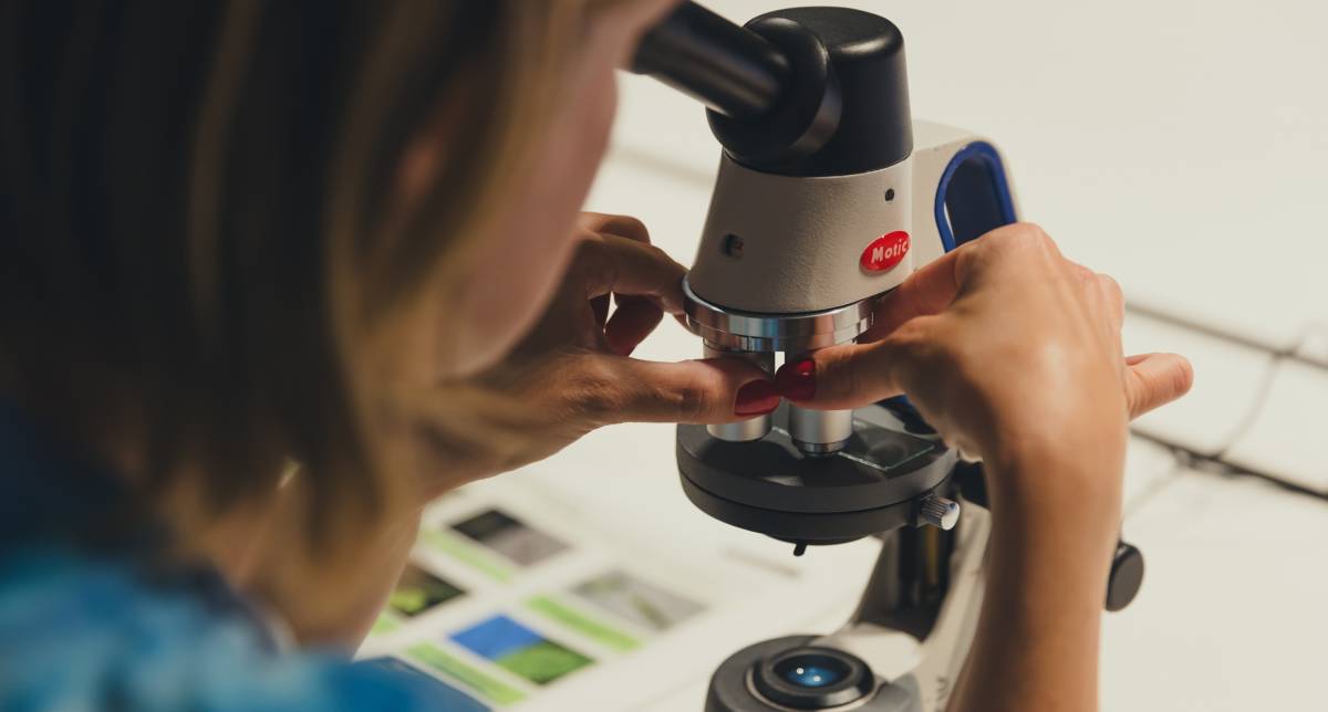 Una jove mira per un microscopi a la Nit de la Recerca - Cedida Una jove mira per un microscopi a la Nit de la Recerca