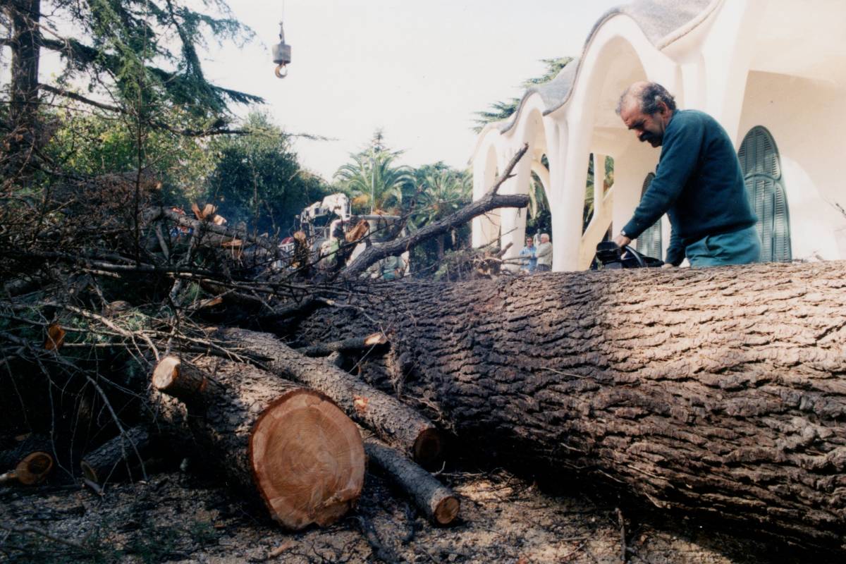 Parc de Sant Jordi 1995 - Cristóbal Castro/Arxiu Diari de Terrassa Parc de Sant Jordi 1995