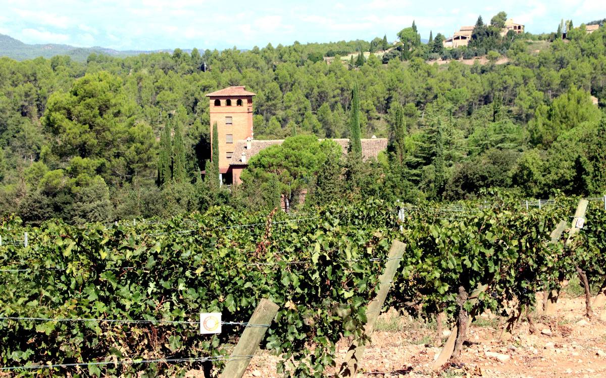 Abadal, primer celler europeu a sumar-se a Fire Wine per prevenir grans incendis