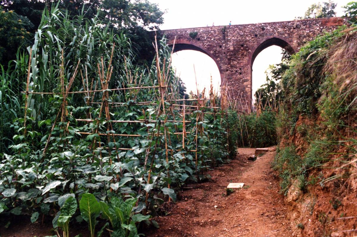 Parc de Vallparadís pont de Sant Pere - Arxiu Diari de Terrassa