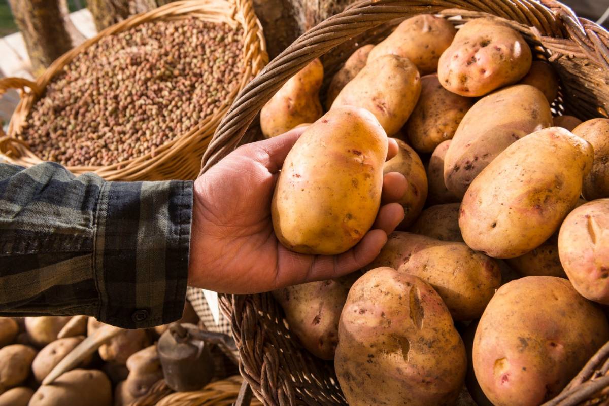 El Solsonès presenta la campanya gastronòmica «El Solsonès, quin gust de comarca!»