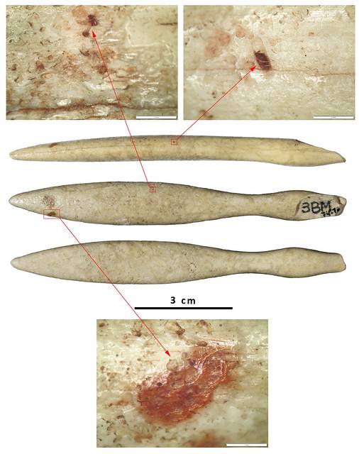 Detalls de la troballa - UB