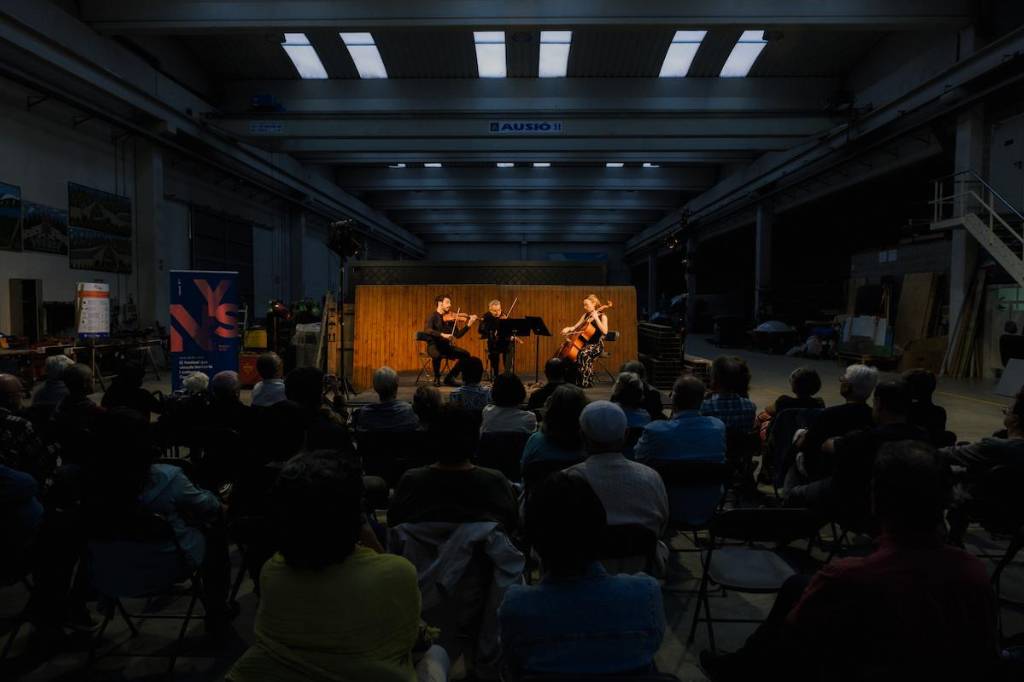 Espectacle durant la programació del NYS Polígon Arts 2024 - Irene Monteagudo