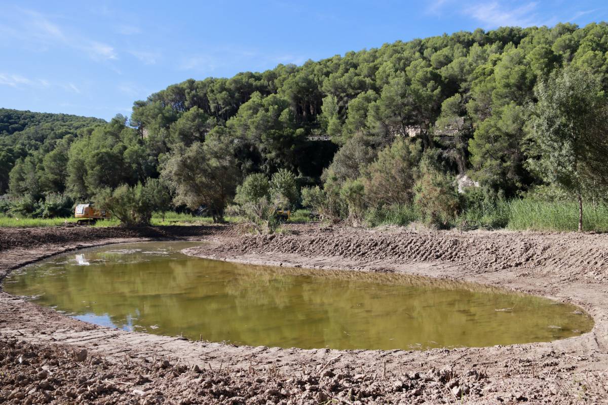 Les basses actuaran com a depuradora natural abans del pantà de Foix