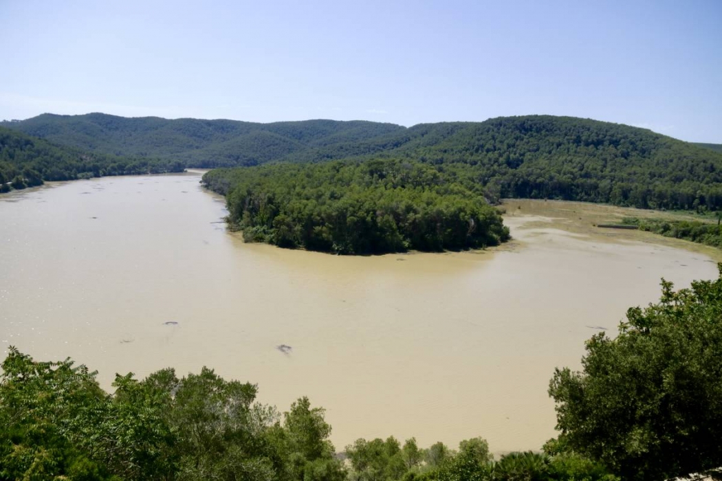 Basses per actuar de «depuradora natural»: l'estratègia per reduir la contaminació al pantà de Foix