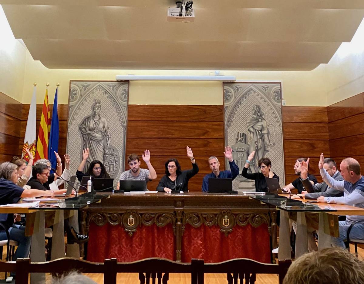Votació de la moció  - 