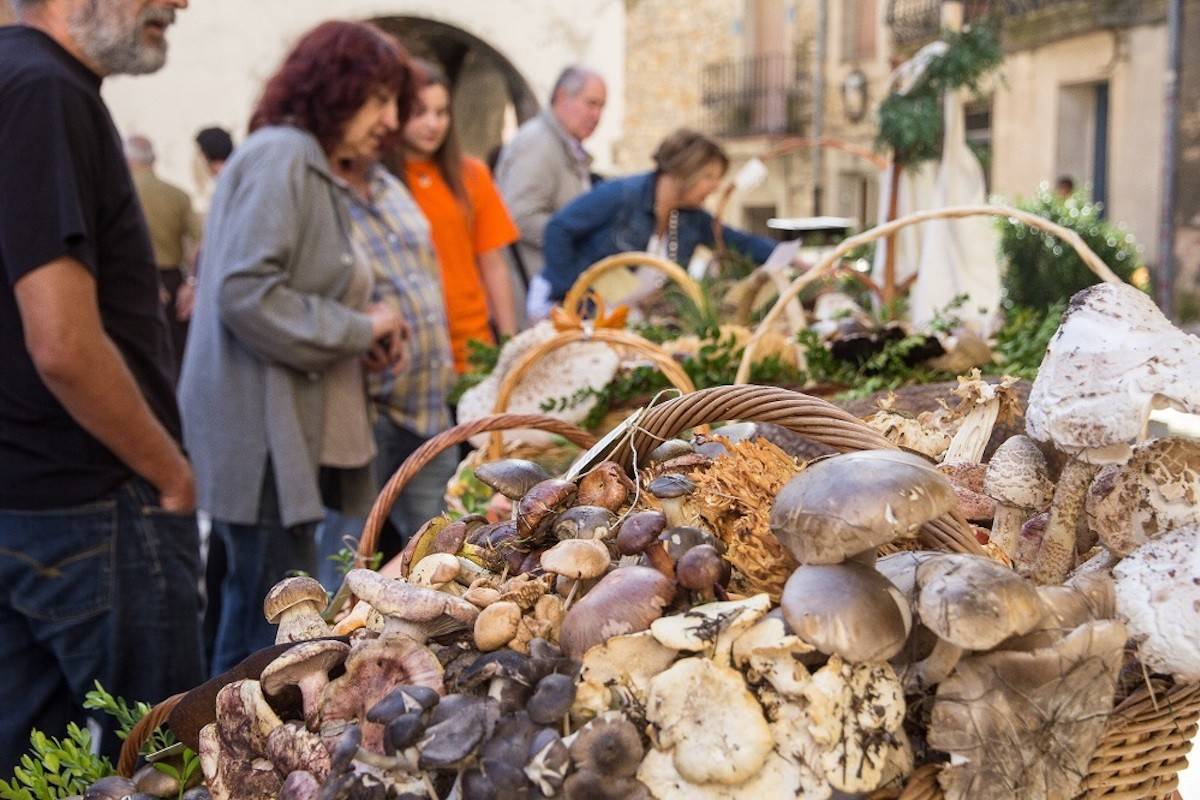 Fira del bolet d`isona i Conca Dellà 