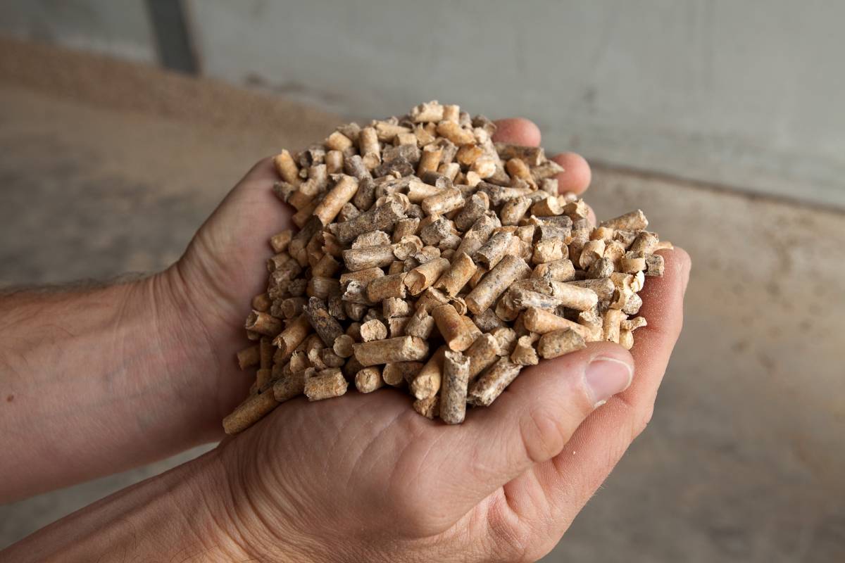 La biomassa és un dels recursos que ajuden a reduir emissions - Cedida La biomassa és un dels recursos que ajuden a reduir emissions