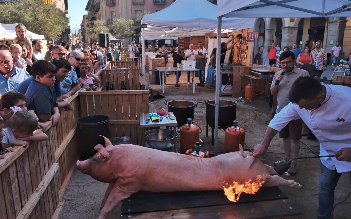 Imatge d`arxiu de la Fira del Porc i la Cervesa de Manlleu.