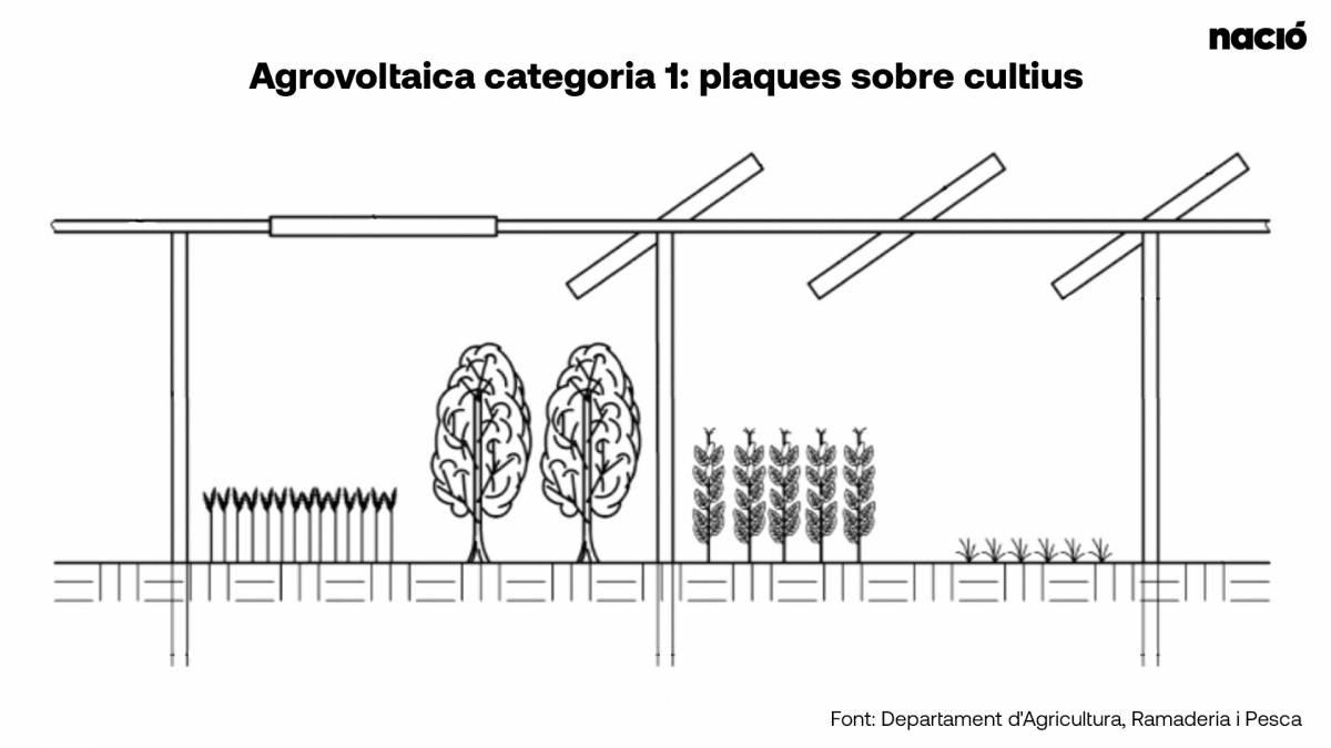Tipologia d`agrovoltaica tipus 1