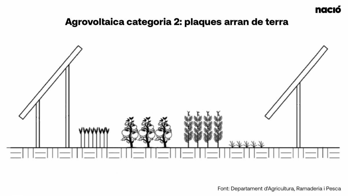 Tipologia d`agrovoltaica tipus 2