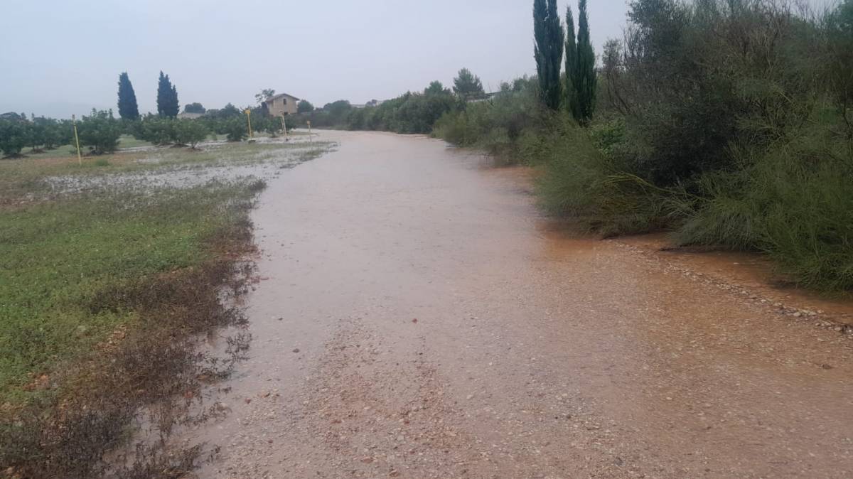 Les imatges que han deixat els aiguats a les Terres de l'Ebre