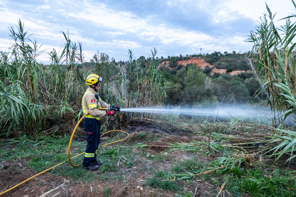 Un foc presumptament intencionat sorprèn els veïns de Sant Oleguer