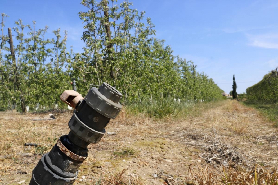 Catalunya modifica el pla de sequera per no castigar l'agricultura i la ramaderia