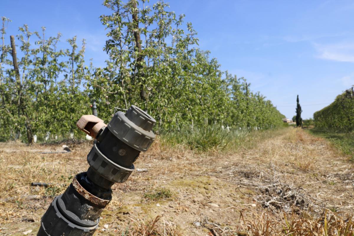 Catalunya modifica el pla de sequera per no castigar l'agricultura i la ramaderia