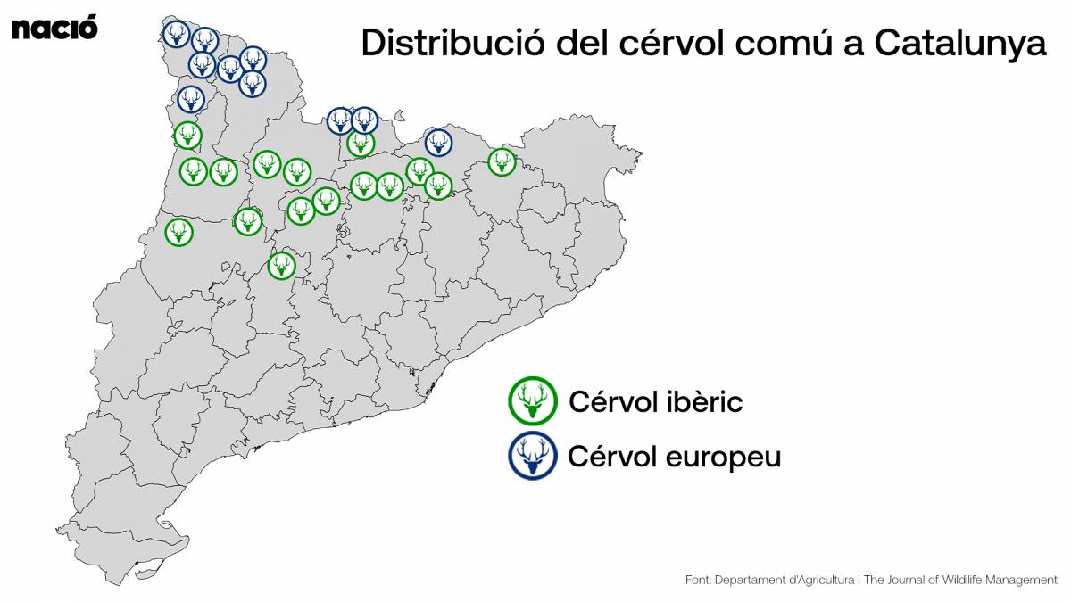 Distribució del cérvol comú a Catalunya