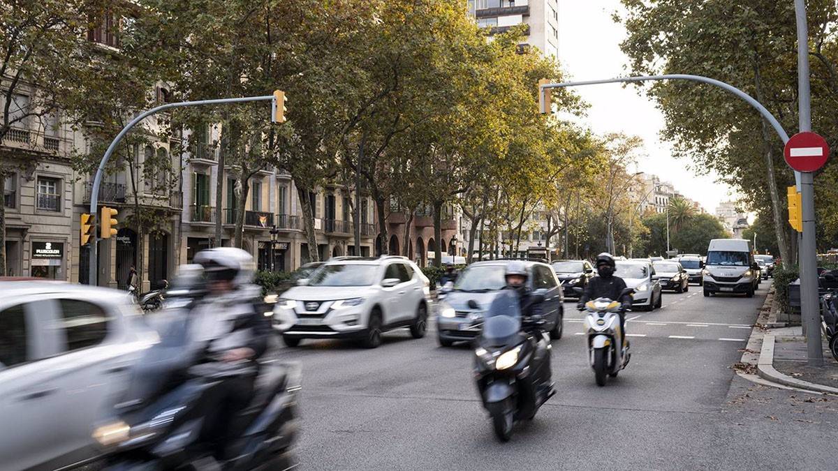 Polis i Alphanet presenten eines basades en dades per a la gestió municipal a Sitges